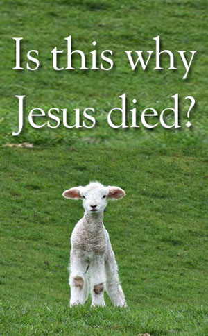 Did Jesus die so that we might fight one another?